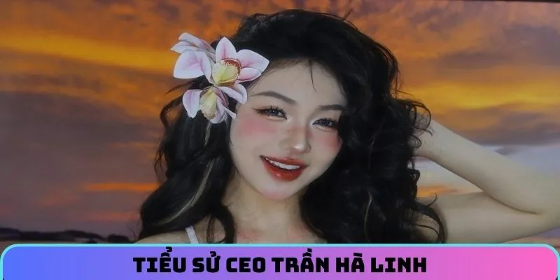 ceo-tran-ha-linh-tieu-su
