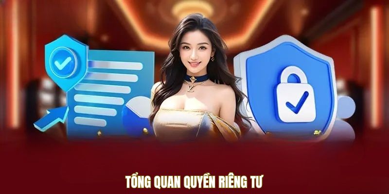 tong-quan-quyen-rieng-tu